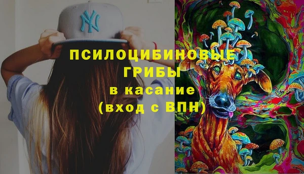 твердый Надым
